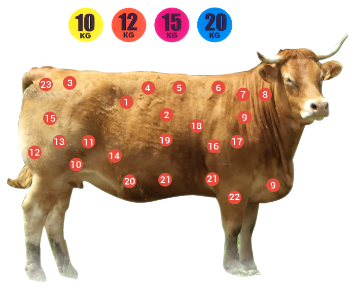 Vente de colis de viande bovine dans le 85
